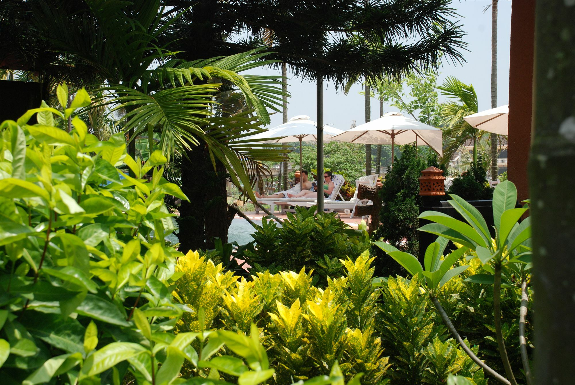 Pho Hoi Riverside Resort Hoi An Eksteriør billede